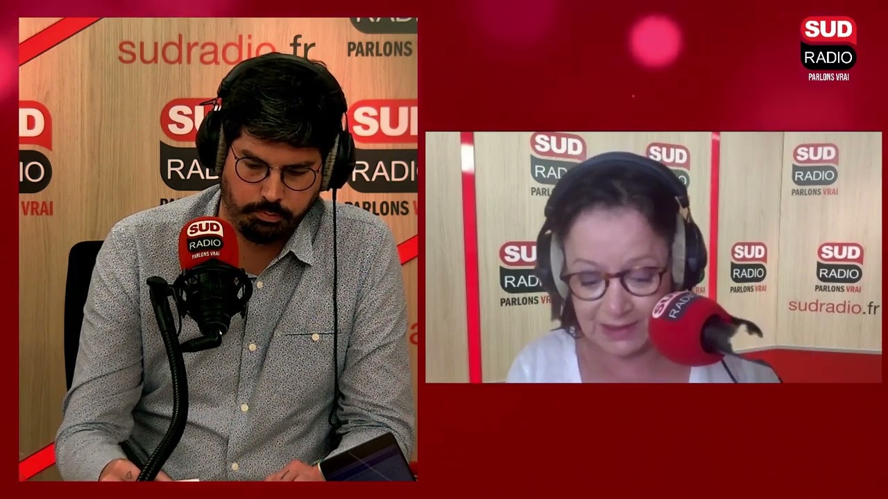 Elisabeth Lévy : "Pap Ndiaye a un vision politique consternante et même grotesque"