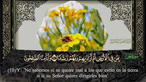 سورة الجن بصوت القارئ أحمد المرشود ،(رجمة إلى البرتغالية@nabilsafi8438