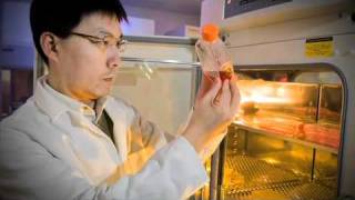 Virginia Tech: Graduate School Research