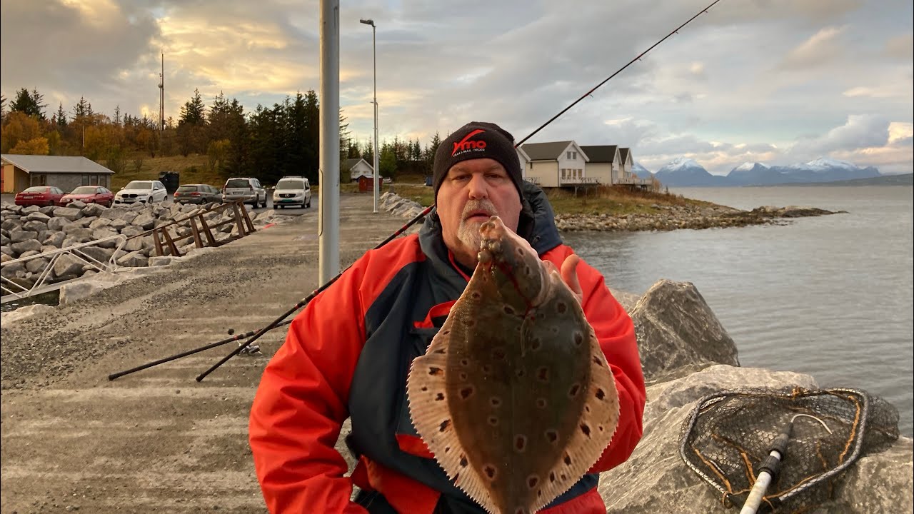 Catching nice Plaice from the shore