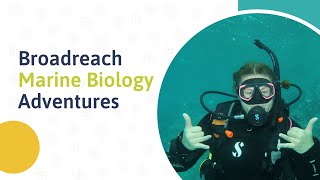 Broadreach Webinar: Marine Biology Teen Trips