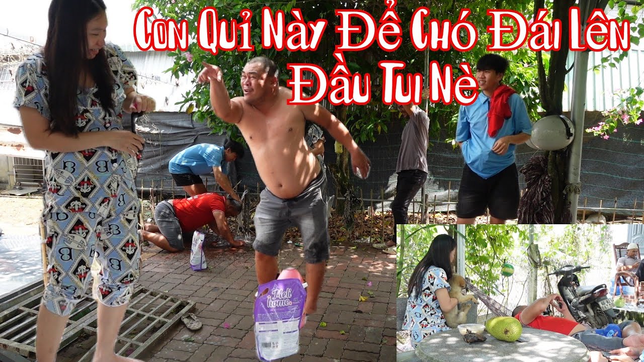 Thuỳ CàLem Để Chó Đái Lên Đầu Bà Bé Và Cho Gội Đầu Bằng ÔMÔ