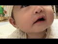 ライカムch がちょー早起きライブ配信中！#新生児 #出産 #育児 #baby #newborn #かわいい #あかちゃん #赤ちゃん #癒し　#newbornbaby #vlog