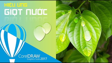 Hướng dẫn cách vẽ giọt nước trong phần mềm CorelDraw