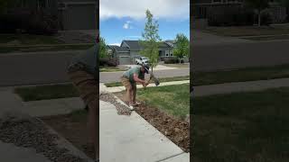 Yard work