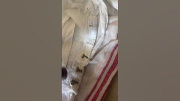 👑 We love Edwardian garments but HATE the rust stains the hook and eyes as well as other metal