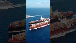 Enormous Cruise Ship Stuns Crowd as It Nears the Pier #viral #shorts