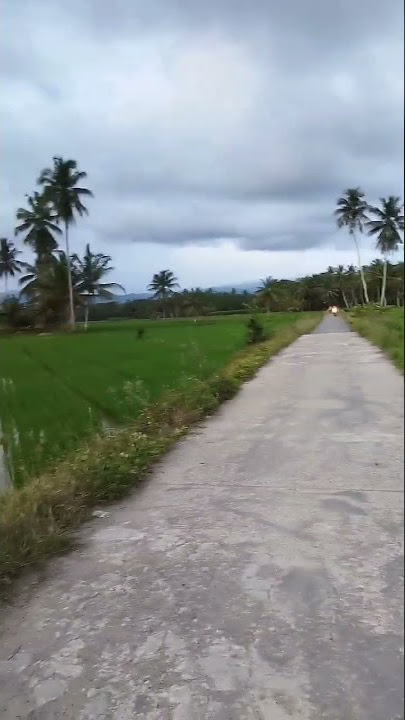 Langit Bisakah kau turunkan hujan dengan uang #viral #langit