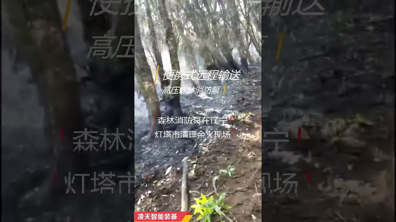 Portable remote transport high-pressure forest fire pump