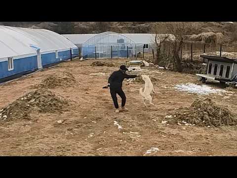 모르는 사람이 보면 괴롭힌다고 오해할 수 있음