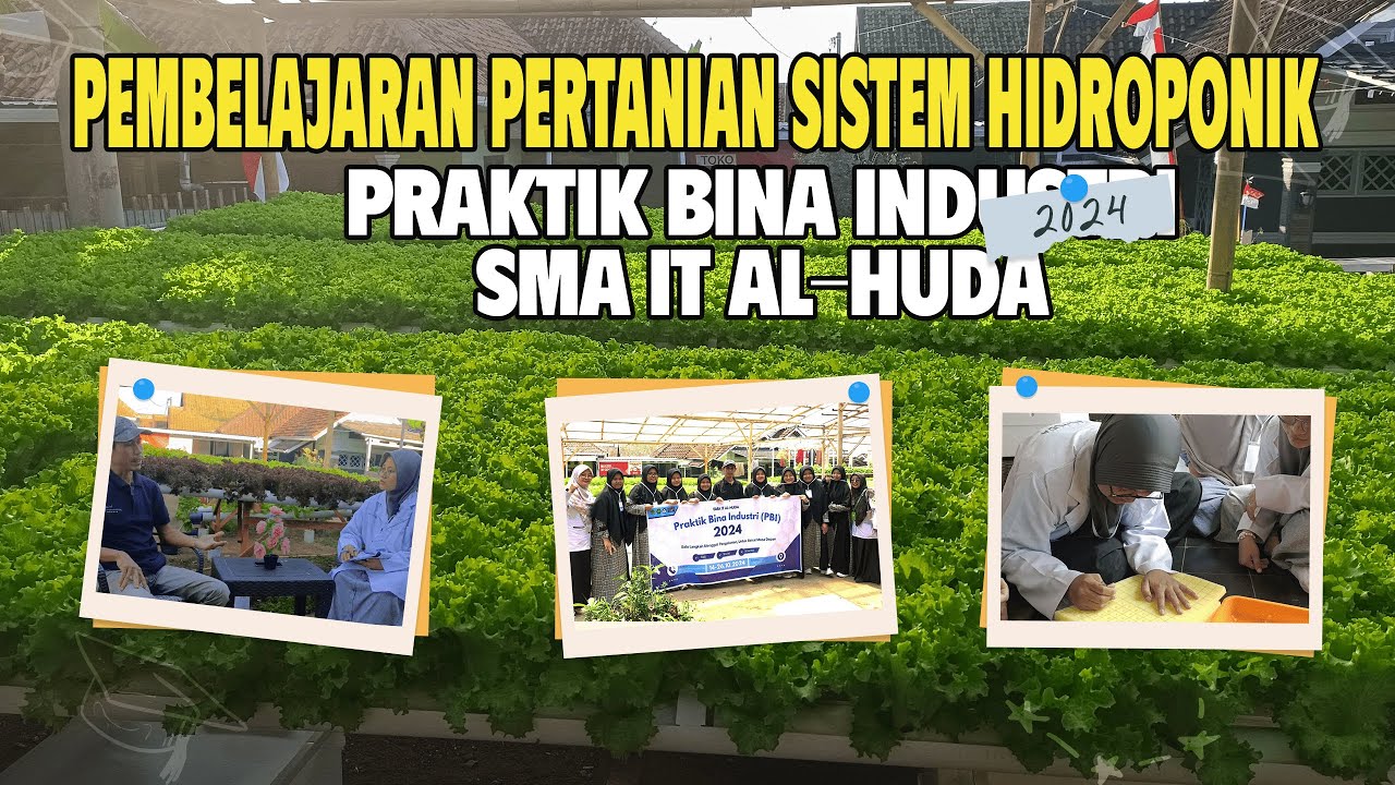 Pembelajaran Pertanian Sistem Hidroponik Untuk Anak-anak SMA IT AL HUDA@ANUR_Hidroponik