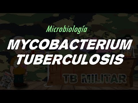 Después de este vídeo nunca se te van a olvidar las características principales de M. tuberculosis