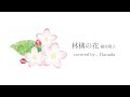 林檎の花/槇原敬之 covered by...芲田