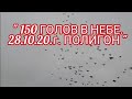 "" ГОЛУБИ "" 🔥МАССОВЫЕ ПОДЬЕМЫ 🔥28.10.2020.г.
