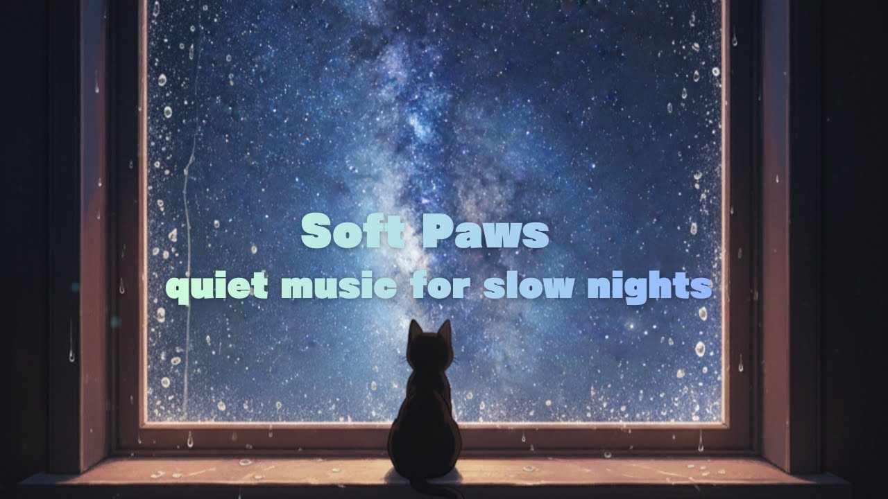 Focus Music｜Soft Paws – quiet music for slow nights