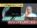 LIVIN&#39; / SEEDA を仏教的に解説!【僧侶がグッときた言葉#33】