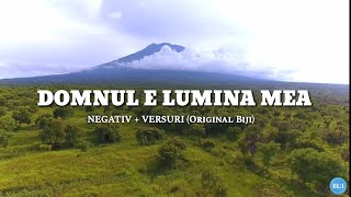 Negativ - DOMNUL E LUMINA MEA ( Original Biji )