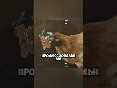 Курица против стабилизатора: кто снимает лучше?! 🎥🐔😱