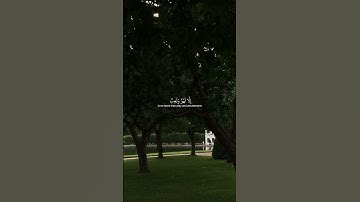 اكتب شيء تؤجر عليه 💙😴 القارئ عبدالرحمن مسعد