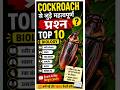 cockroach #biyoloji #viralvideo #new #gk #generalknowledge
