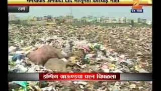 2809 dumping ground   thane