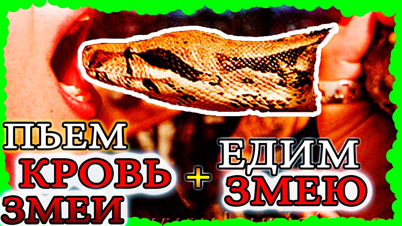 ЕДИМ ЗМЕЮ и ПЬЕМ КРОВЬ змеи, едим БЬЮЩЕЕСЯ СЕРДЦЕ змеи. Какой вкус у ...