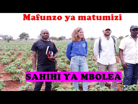 Video: Mbolea ya amonia hutumiwa kwa nini?