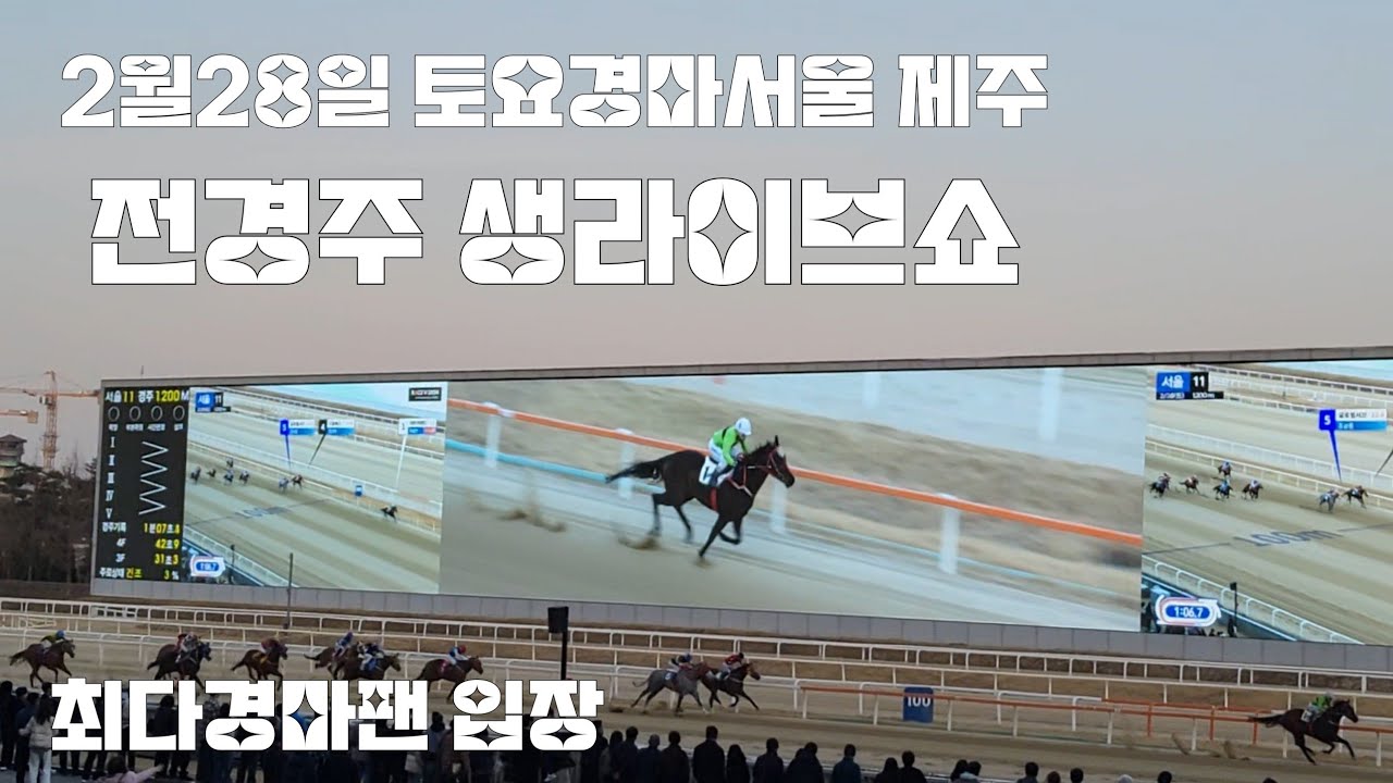 사흘경마2일차 토요최고배당4723.7배 (서울.제주 생라이브쇼)
