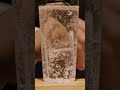 【ASMR】炭酸水の音 #shorts