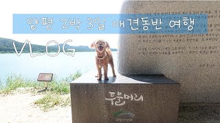 2박 3일 애견동반 양평 여행 브이로그 💜 / 더 큐브 펜션 / 카페 콘크리트정글 / 용문산 / 두물머리 #애견동반여행 #양평애견동반