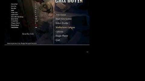 Color in your name on CoD2 - The easy way!