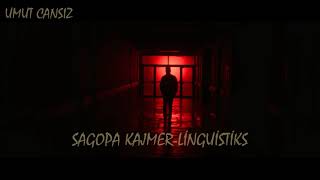 Sagopa Kajmer - Linguistiks Resimi