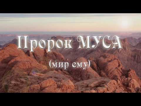 Пророк Муса | Истории пророков | Ренат Абянов
