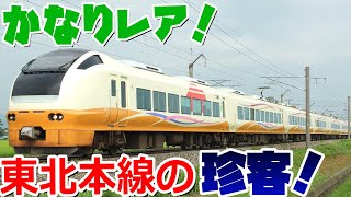 【最強臨時快速】無料で実質的に特急に乗れる臨時快速列車を徹底解説！