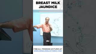 Breast Milk Jaundice
