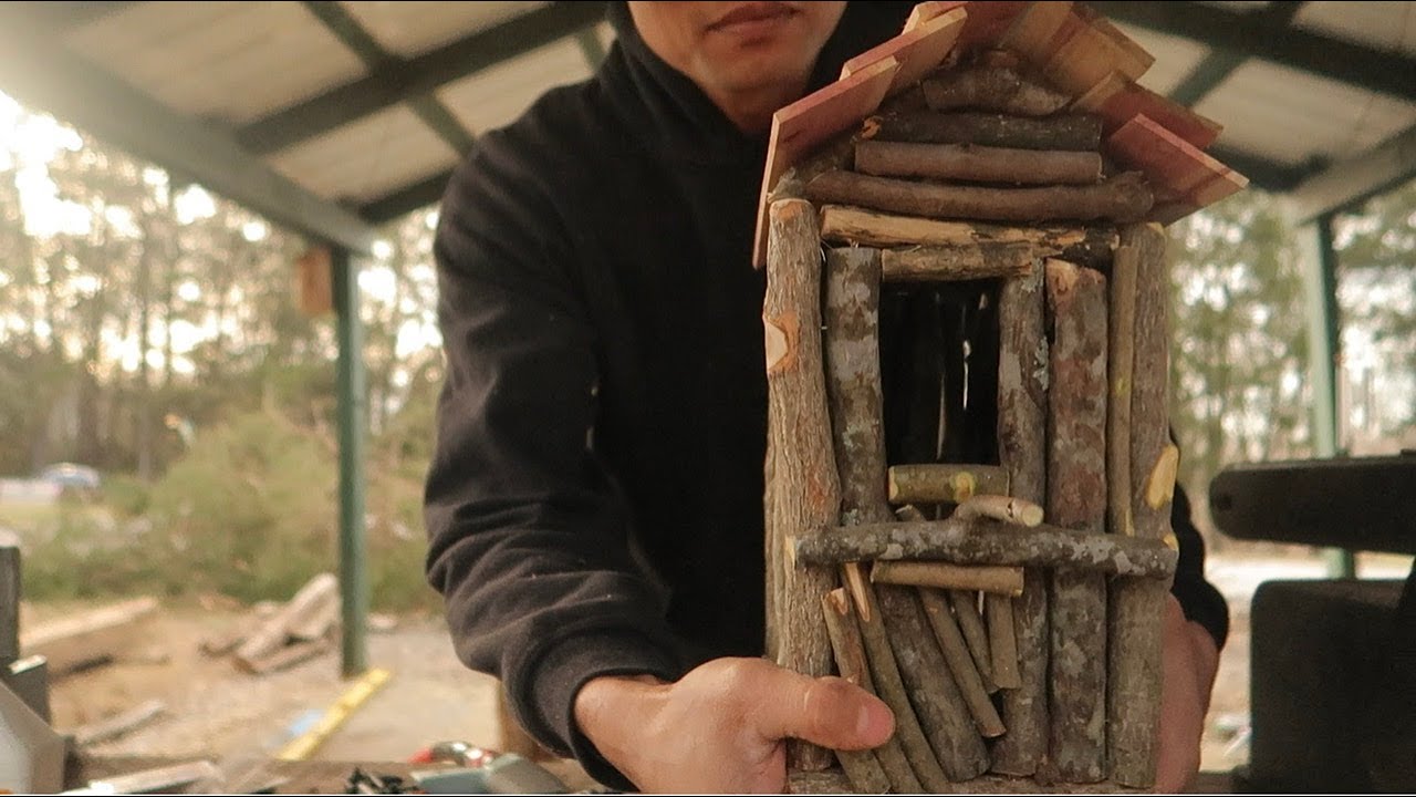 Stick bird house...just for fun