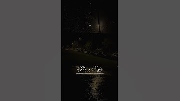 آيات من الذكر الحكيم