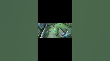 The Ultimate 2025 LAYLA Build Guide!