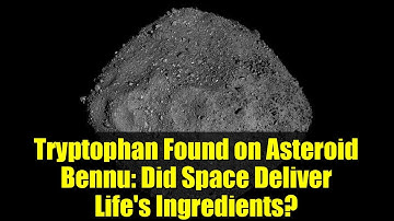 Tryptophan Found on Asteroid Bennu: Did Space Deliver Life