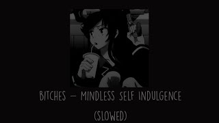 Mindless Self Indulgence - Bitches (Slowed)