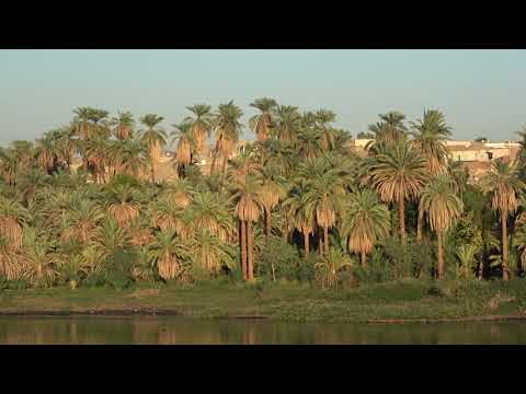 КРУИЗНЫЙ ЕГИПЕТ - КРУИЗ ПО НИЛУ. CRUISE EGYPT - CRUISE ON NILE.