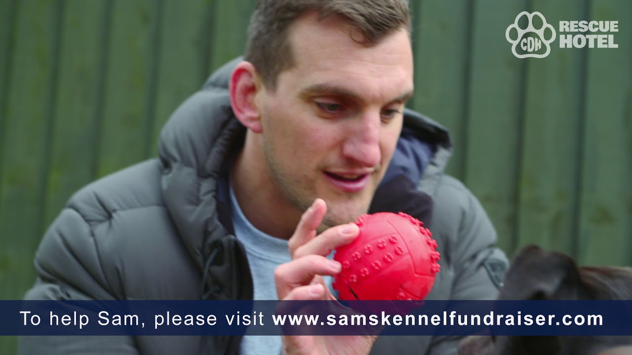 Help Sam Warburton Refurbish the Kennels at Cardiff Dogs Home YouTube