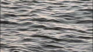 willix - the voices, i hear them... - Slowed