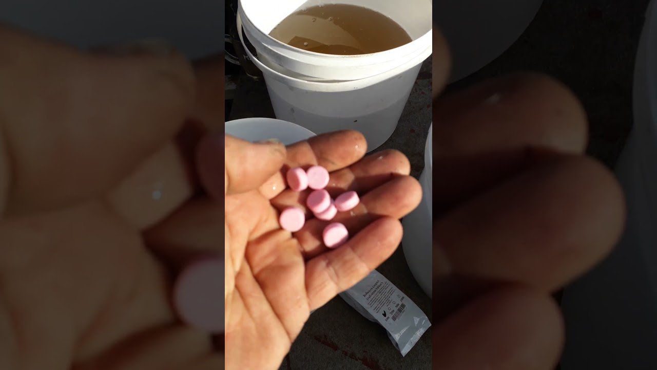 Кобальт для пчёл. Рекомендую...