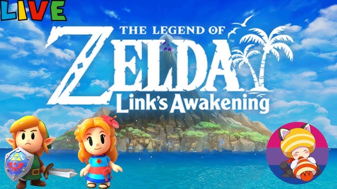 Link's Awakening - FULL GAME 100% Walkthrough (Nintendo Switch) 