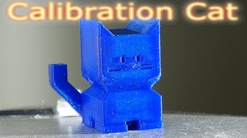 3D Printer Calibration Cat