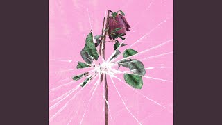 Toxicity - Fionn