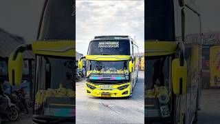 bus telolet basuri keren😋 #bus #bustelolet #teloletbasuri