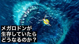 【降臨】メガロドンが現代にも生存していたらどうなるのか？