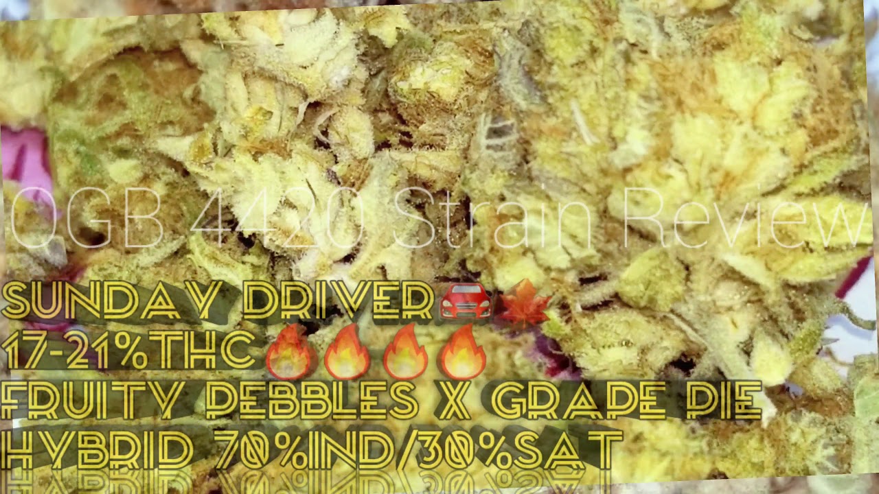 Sunday Driver Strain Review 4k OGB 4420
